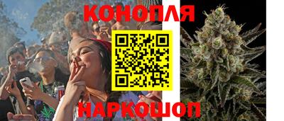 герыч Гатчина