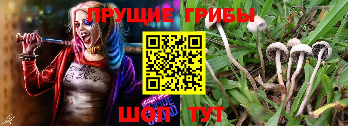 Галлюциногенные грибы прущие грибы  Псилоцибиновые грибы MAGIC MUSHROOMS  Вход с VPN  Сатка 