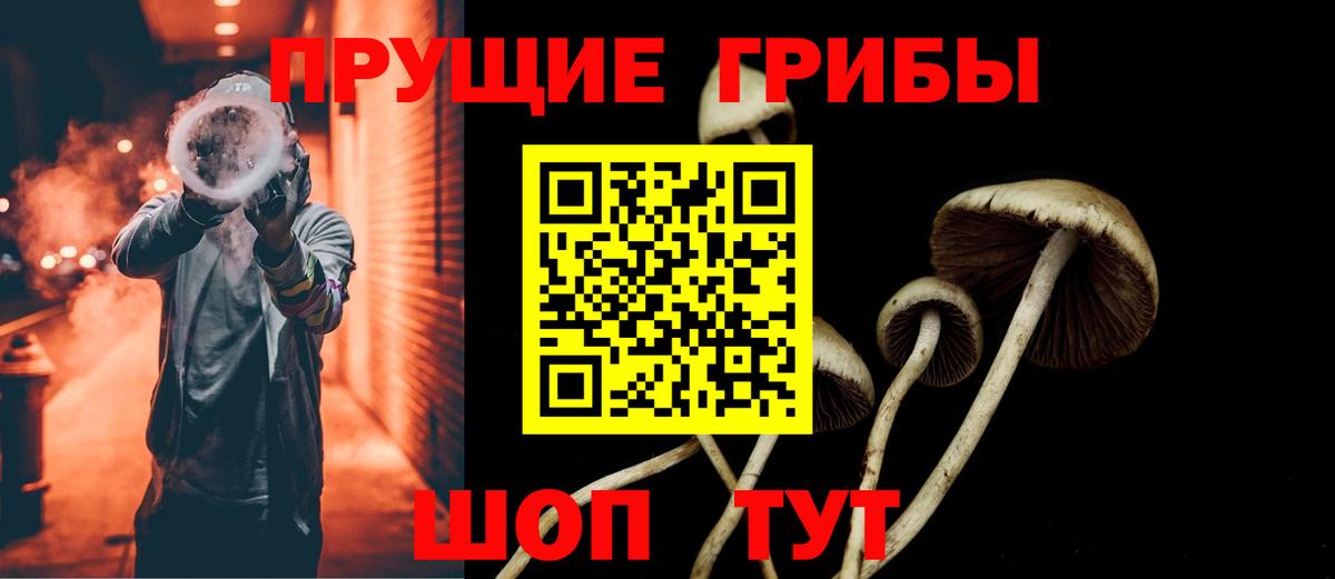 Псилоцибиновые грибы ЛСД Сатка